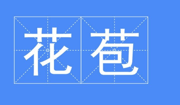 花苞的拼音怎么写