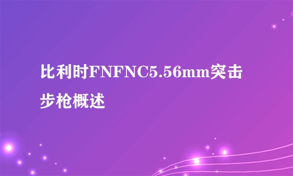 比利时FNFNC5.56mm突击步枪概述