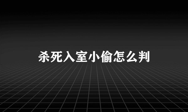 杀死入室小偷怎么判