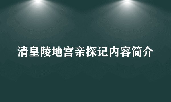 清皇陵地宫亲探记内容简介