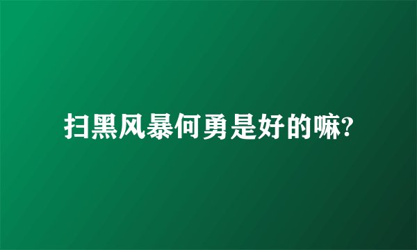 扫黑风暴何勇是好的嘛?