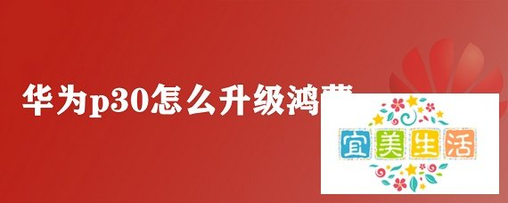 华为p30怎么升级鸿蒙