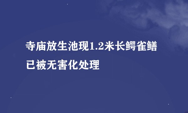 寺庙放生池现1.2米长鳄雀鳝 已被无害化处理