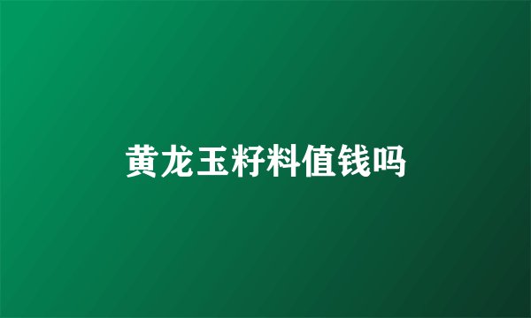 黄龙玉籽料值钱吗