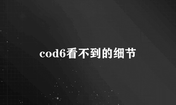 cod6看不到的细节