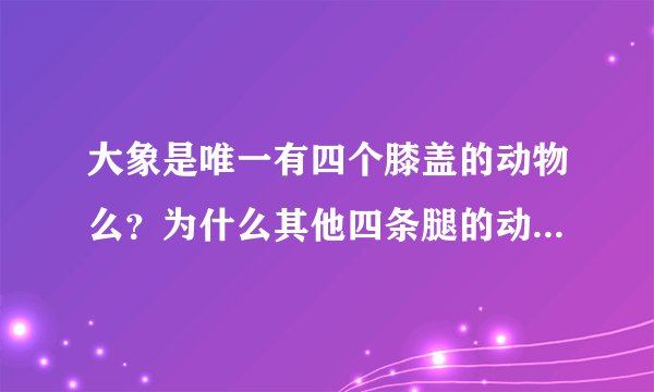 大象是唯一有四个膝盖的动物么?为什么其他四条腿的动物不是?