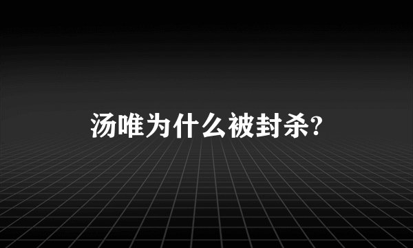 汤唯为什么被封杀?