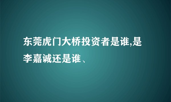 东莞虎门大桥投资者是谁,是李嘉诚还是谁、