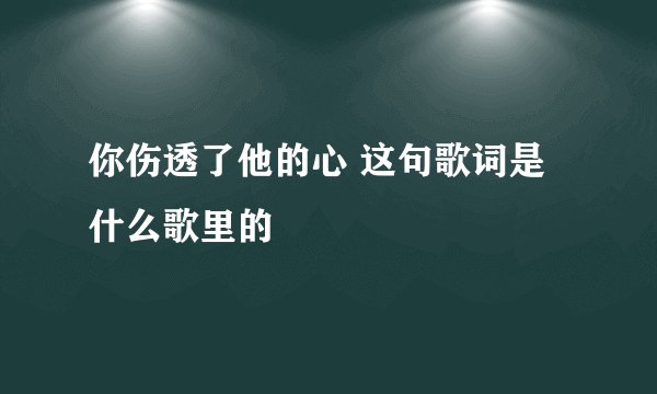 你伤透了他的心 这句歌词是什么歌里的