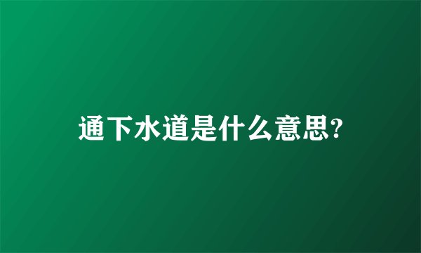 通下水道是什么意思?