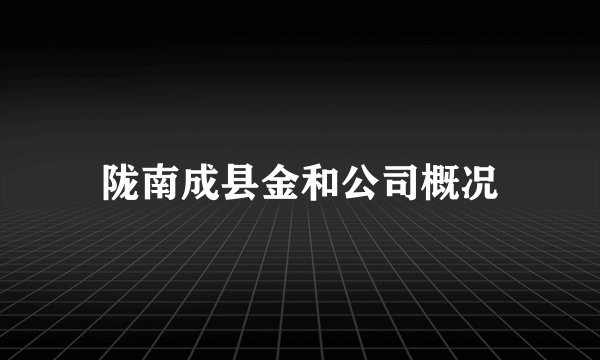 陇南成县金和公司概况