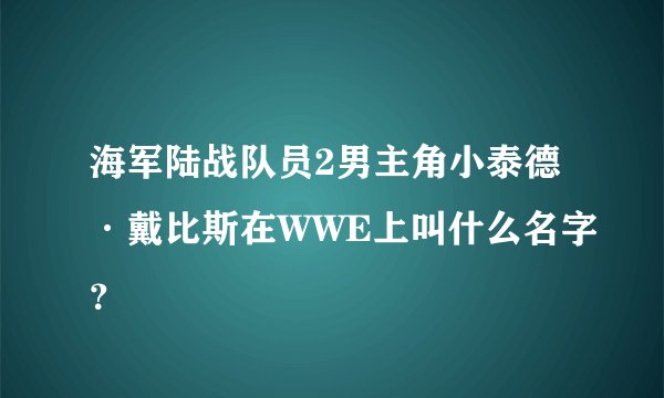 海军陆战队员2男主角小泰德·戴比斯在WWE上叫什么名字?