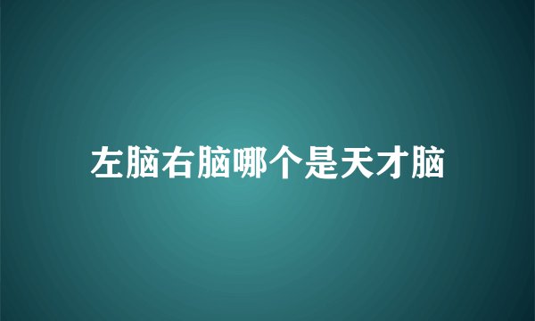 左脑右脑哪个是天才脑
