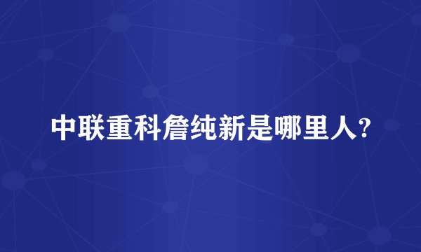 中联重科詹纯新是哪里人?