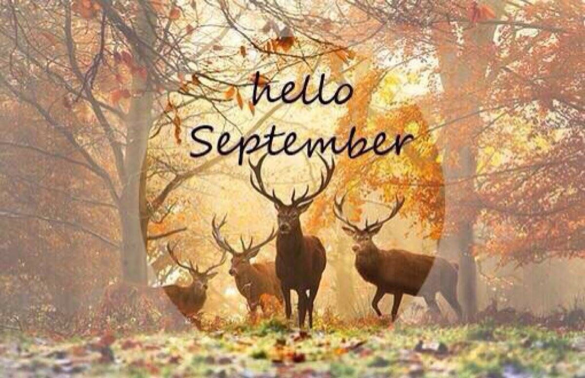 单词“september”怎么读？