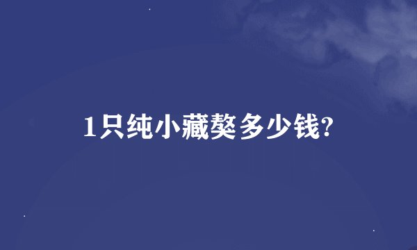 1只纯小藏獒多少钱?