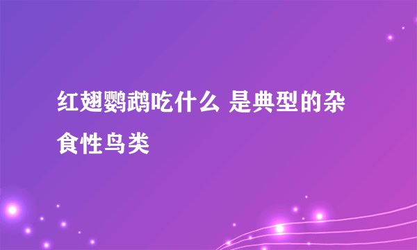 红翅鹦鹉吃什么 是典型的杂食性鸟类