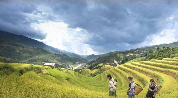 全球陷最严重粮食危机，每天8亿人挨饿，中国人的饭碗为何没事？