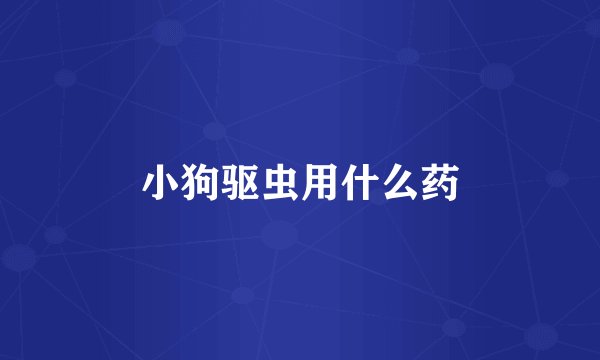 小狗驱虫用什么药