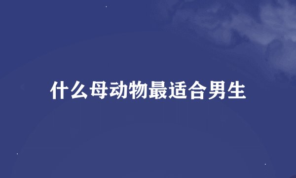 什么母动物最适合男生