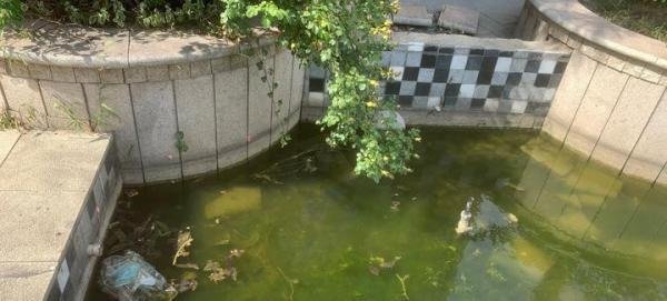 花桥国际华城小区,稀烂。