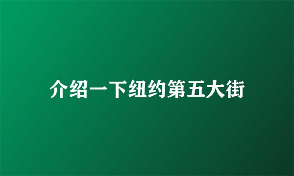 介绍一下纽约第五大街