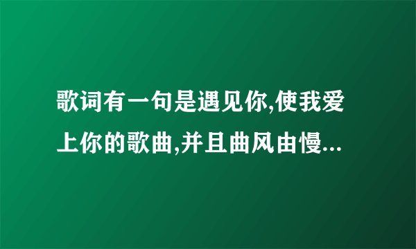 歌词有一句是遇见你,使我爱上你的歌曲,并且曲风由慢到快，一个男的唱的，中文歌，请各位大神告诉我歌名