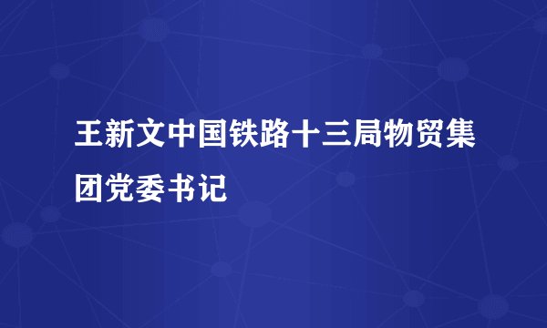 王新文中国铁路十三局物贸集团党委书记