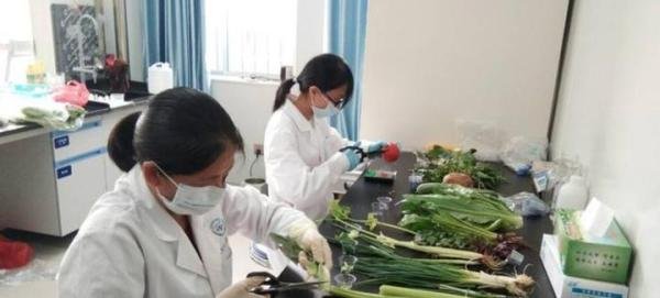 农残检测员证书的报考条件是什么?采用什么形式?怎么就业?