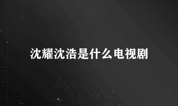 沈耀沈浩是什么电视剧