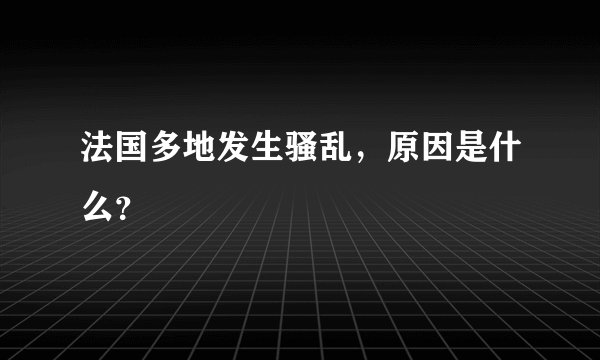 法国多地发生骚乱，原因是什么？