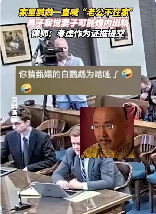 鹦鹉喊老公不在家 男子觉察自己被戴了绿帽子