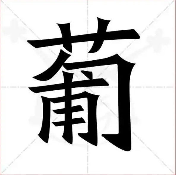葡萄的葡有哪些词组？