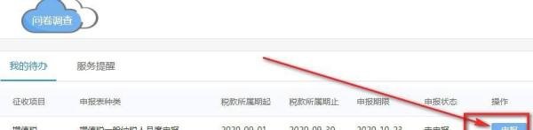 防伪税控服务费全额抵扣申报表怎么填