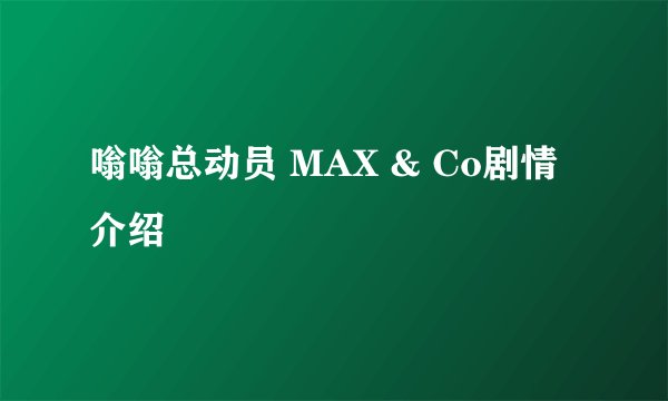 嗡嗡总动员 MAX & Co剧情介绍