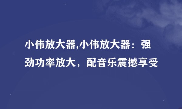 小伟放大器,小伟放大器：强劲功率放大，配音乐震撼享受