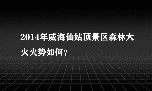 2014年威海仙姑顶景区森林大火火势如何？