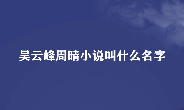 吴云峰周晴小说叫什么名字
