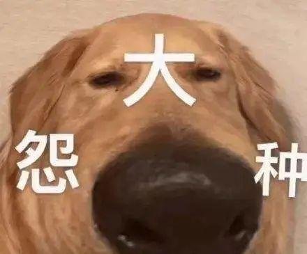上海一中餐厅被指人均两千吃不饱