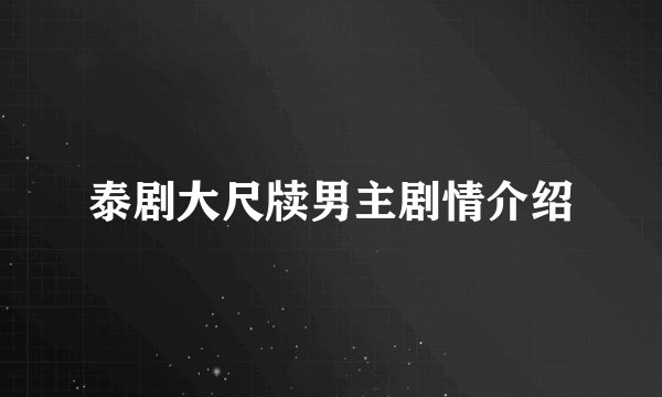 泰剧大尺牍男主剧情介绍