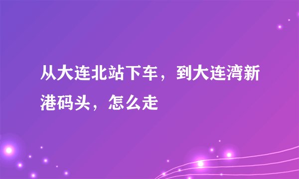 从大连北站下车，到大连湾新港码头，怎么走