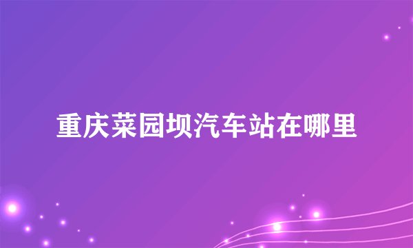 重庆菜园坝汽车站在哪里