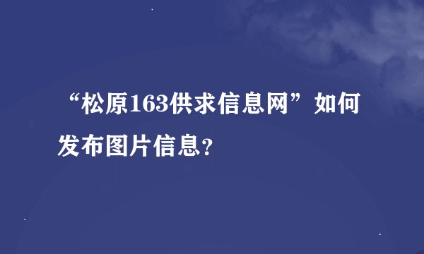 “松原163供求信息网”如何发布图片信息？