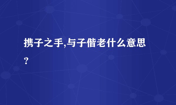 携子之手,与子偕老什么意思？