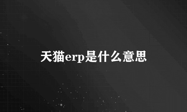 天猫erp是什么意思