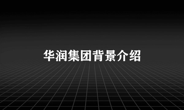 华润集团背景介绍