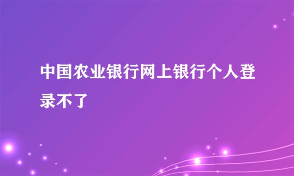 中国农业银行网上银行个人登录不了