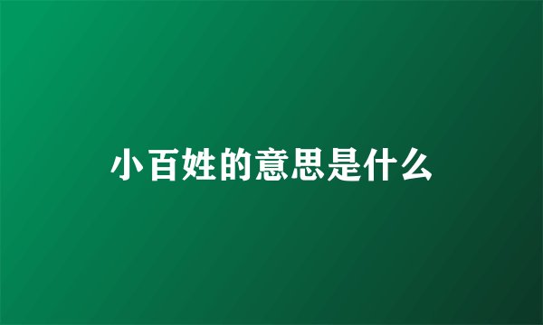 小百姓的意思是什么