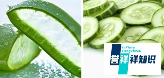 预防和治疗黄褐斑雀斑的七种自制面膜的方法