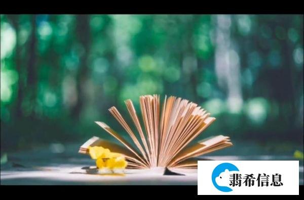 快思慢想
